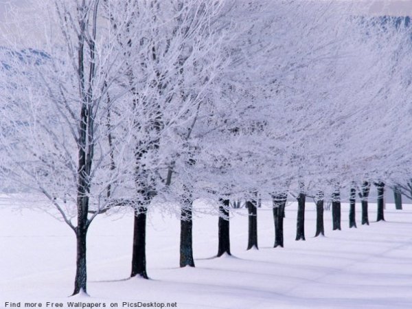 winter (10)