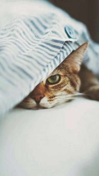 FB IMG 1761238724327