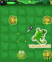 Frog Burst