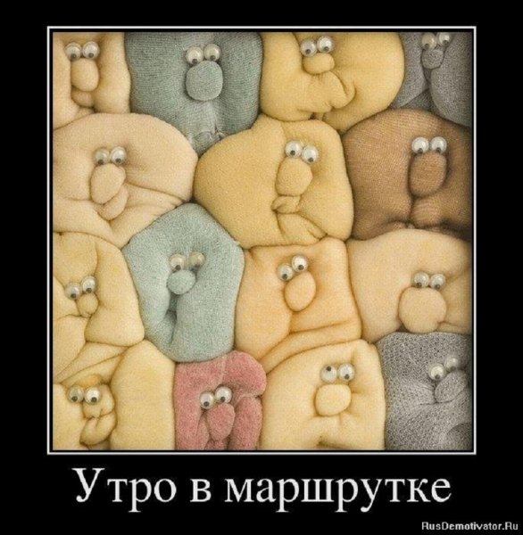 Утро в маршрутке