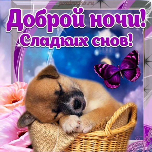 -5409200564593168126 121