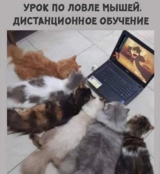 FB IMG 1775991848996