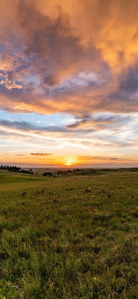 file_102234323