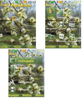 С Вербным Воскресеньем! (havafara)