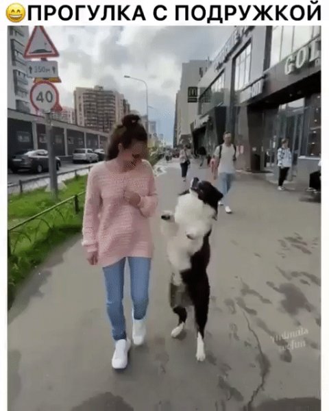 Прогулка с подружкой!