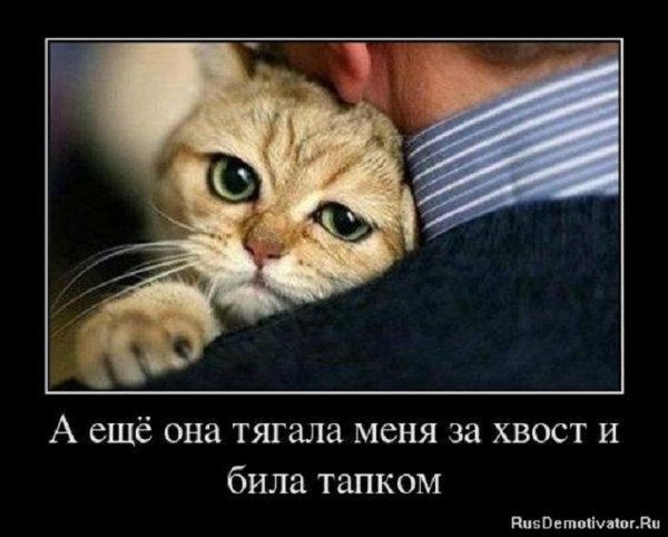 Она тягала меня за хвост