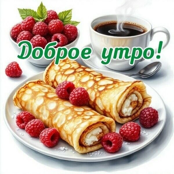 IMG-20260217-WA0000