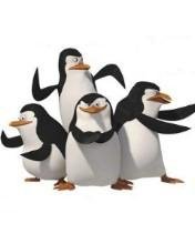 Pinguins V2