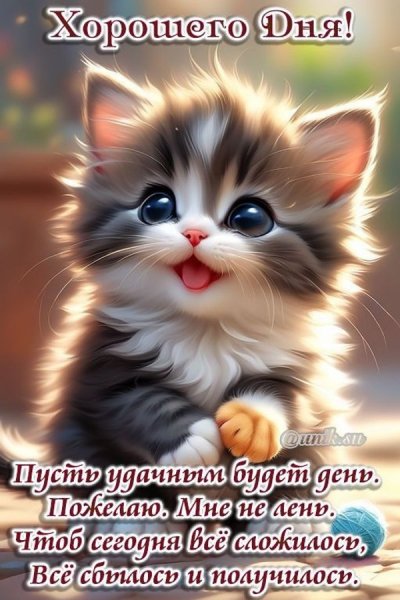 Хорошего дня!...