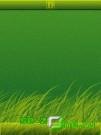 Green grass