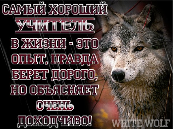 IMG 20190810 153702