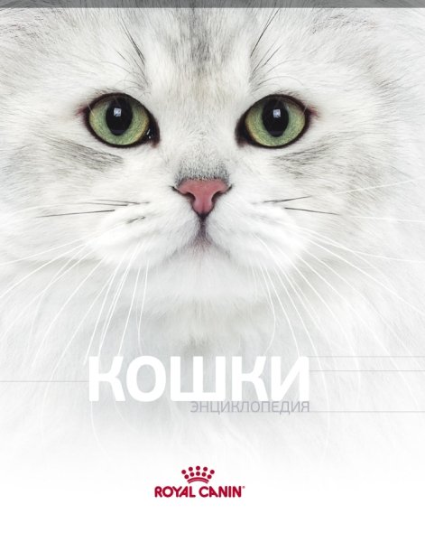Энциклопедия Кошек
