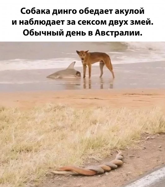 XMmQfTo6bH 9tEbhCtODhpwu4QnhaMPTjSgvexQeHfT zIKBxjqjh7dkEBl0