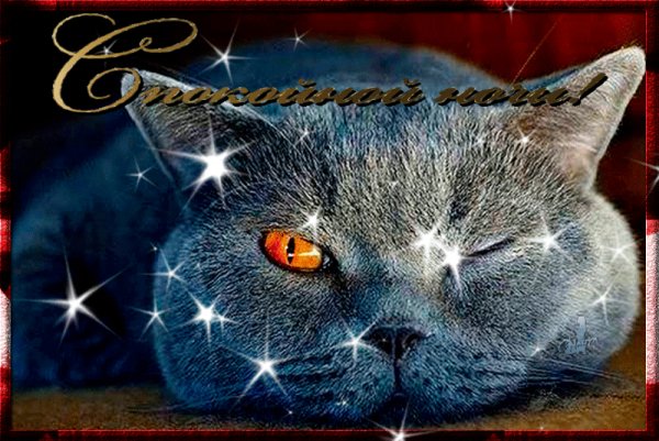 Спокойной ночи!