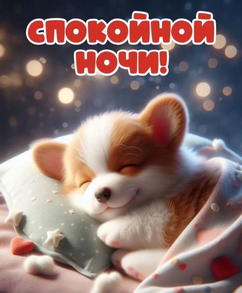 IMG 20260220 012639 708