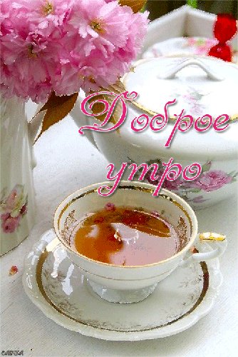 Доброе утро!