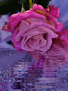 file_82306387