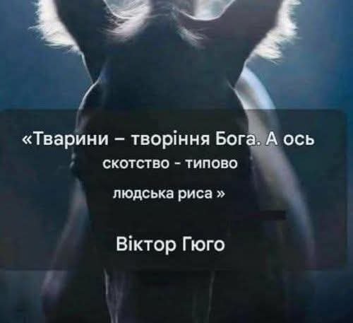 FB IMG 1759403292206