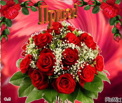 file_74085697