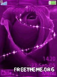 purplee-rose