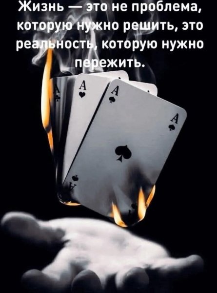 FB IMG 1744040853344