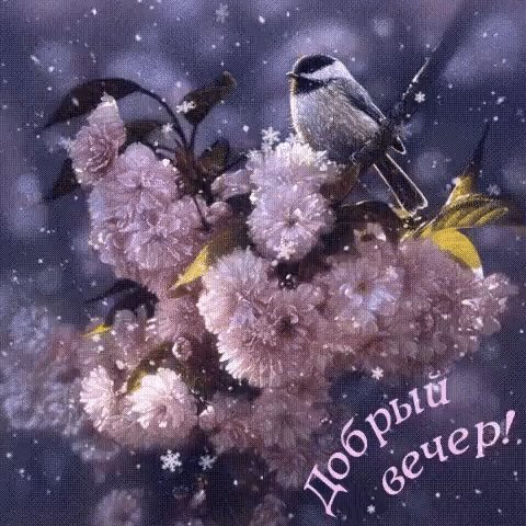 file_76502658