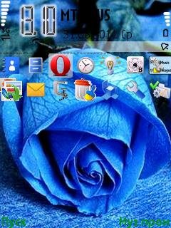 blue rose