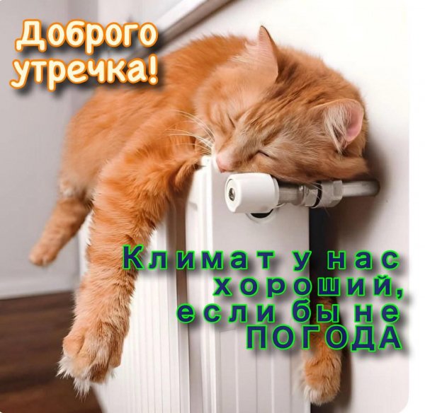 FB IMG 1777393488765