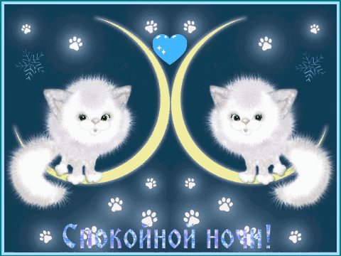 file_76415451