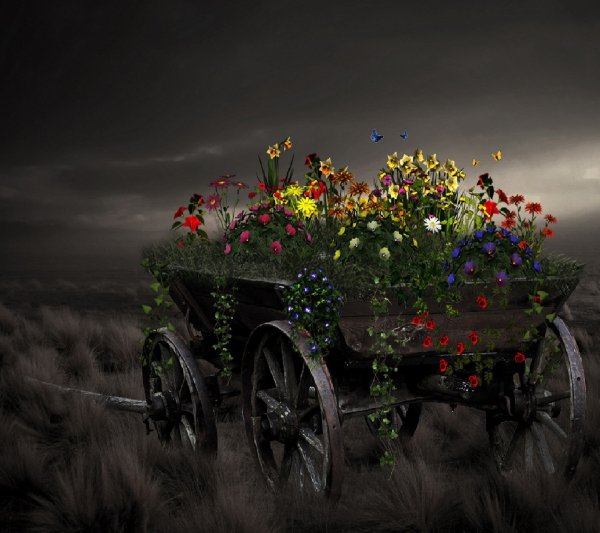 Nature and Flowers-wallpaper-11206797