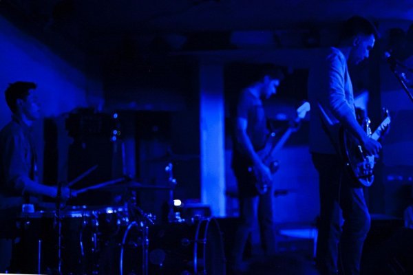 Вальс - Мой ласковый и нежный зверь