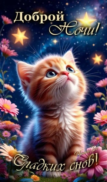 IMG 20251228 224726 274