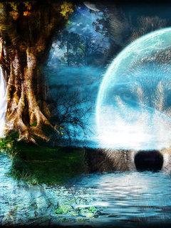 Взгляд волка