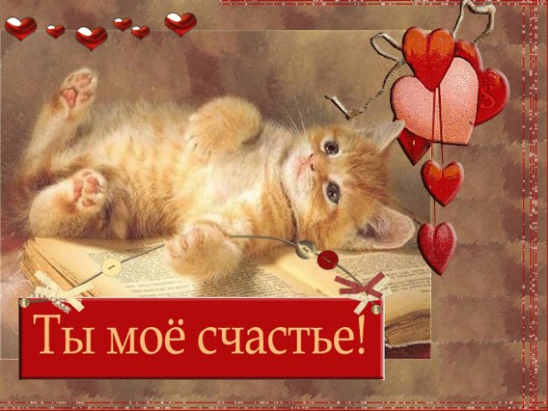Ты моё счастье