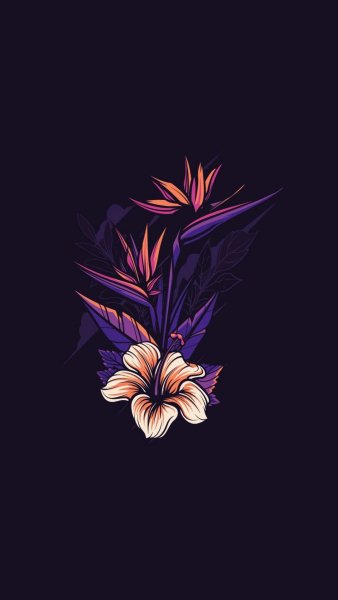 dd8f3bb397c83c43cc27e2867185