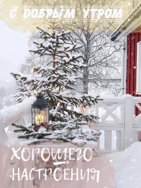 file_92388055