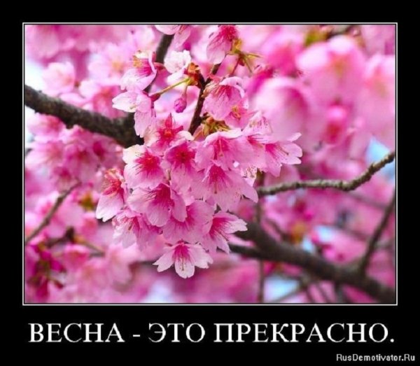 Весна -- то прекрасно!