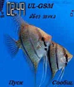 7 8 8.1 skalyarii- 0 1.sis