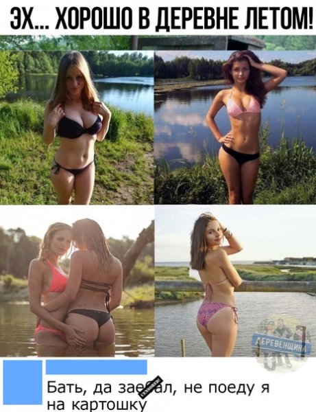 file_86697553