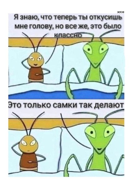 FB IMG 1775992775086