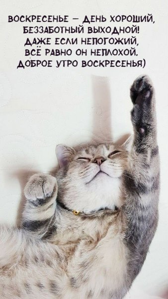 Dobroe-utro-kartinki ru 3986