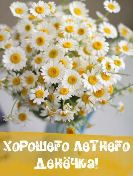 image (35)