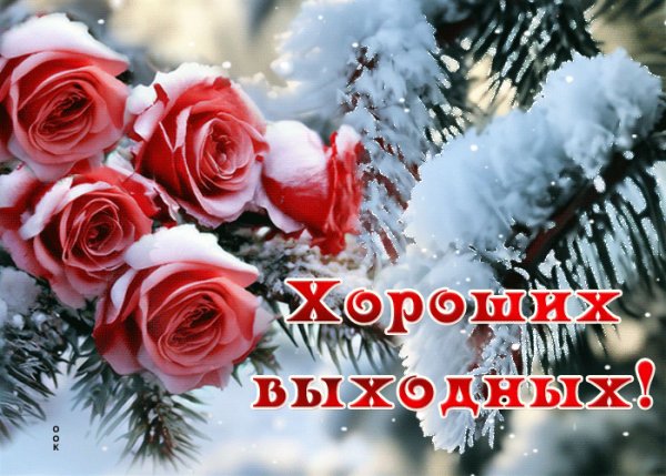 IMG 20260208 002441
