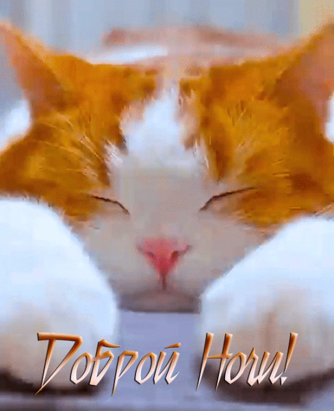 25de173ac9882b88c1c78c55bdf43bd0