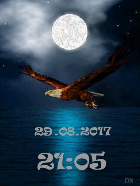 Ночной полет