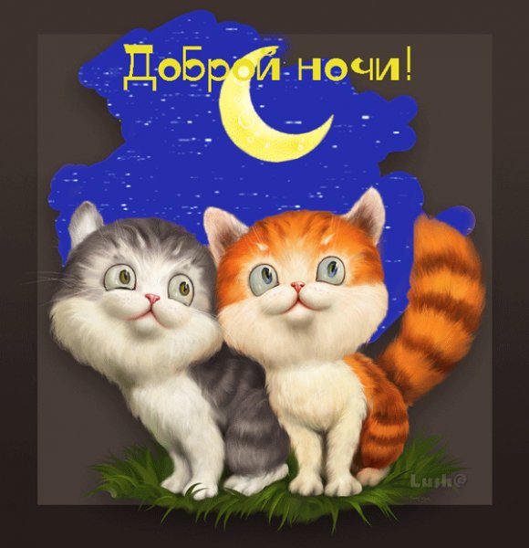 Доброй ночи!
