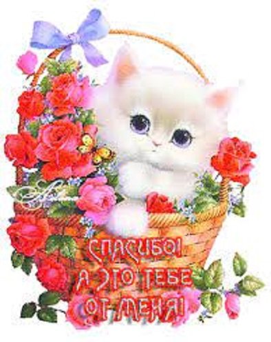 Спасибо! А это тебе от меня