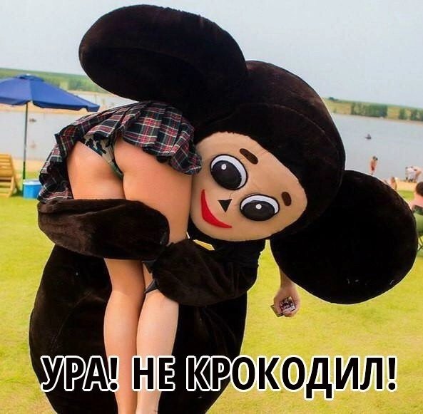 file_99505256