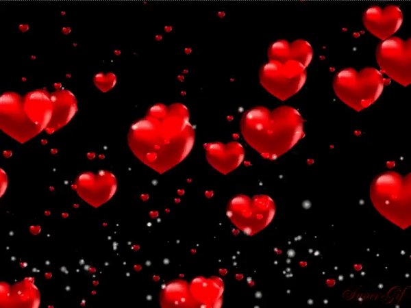 IMG 20170829 160423 0