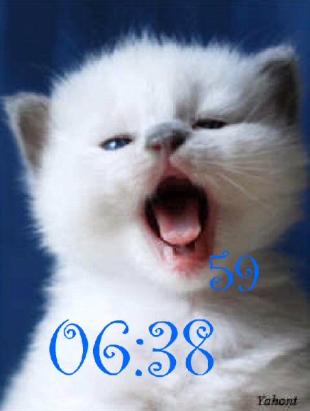 Kotenok